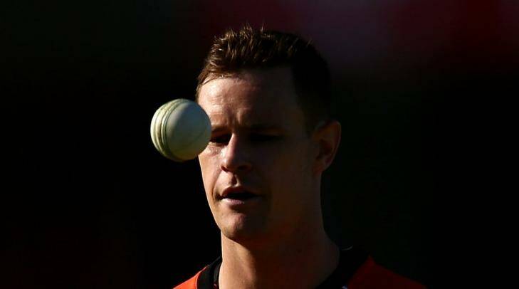 Key absentee: Jason Behrendorff has been in solid form with Perth Scorchers.  Photo: Paul Kane