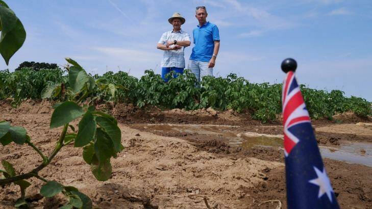 Scott Saunders (right) and Gueudecourt mayor Damien Guise in the potato field marked with an Australian flag. Photo: Nick Miller