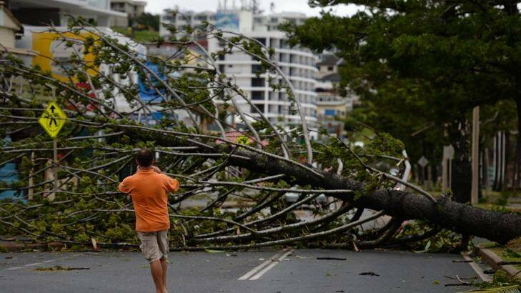 A resident takes a photo of a fallen tree brought down by Tropical Cyclone Marcia in the northern Queensland town of Yeppoon on February 20. Photo: AFP/Peter Parks