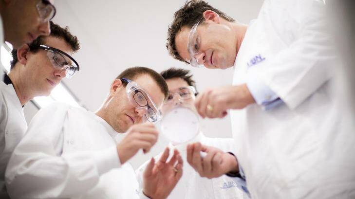 University of Queensland team with Dr Simon Corrie (centre) has developed a nanotech patch for disease diagnosis. Photo: University of Queensland