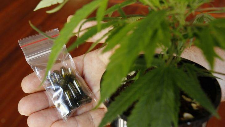 Doctors will be able to apply to prescribe cannabis. Photo: Supplied