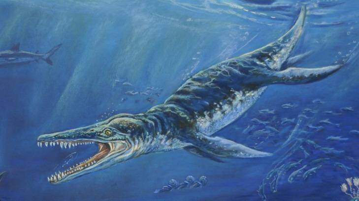 An artist's impression of the Kronosaurus. Photo: Lisa Wallace/Kronosaurus Korner.