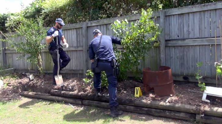 Police have seized about 250 kilograms of khat plants in Mt Gravatt East.  Photo: Queensland Police