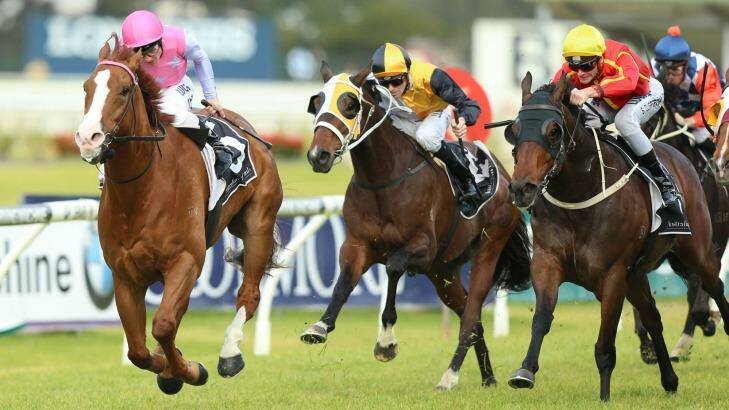 Winter wonderland: Oxford Poet takes out the Winter Stakes. Photo: bradleyphotos.com.au