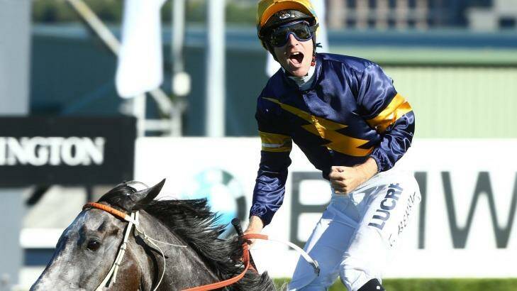 All class: Tommy Berry rides Chautauqua to win the TJ Smith Stakes. Photo: bradleyphotos.com.au