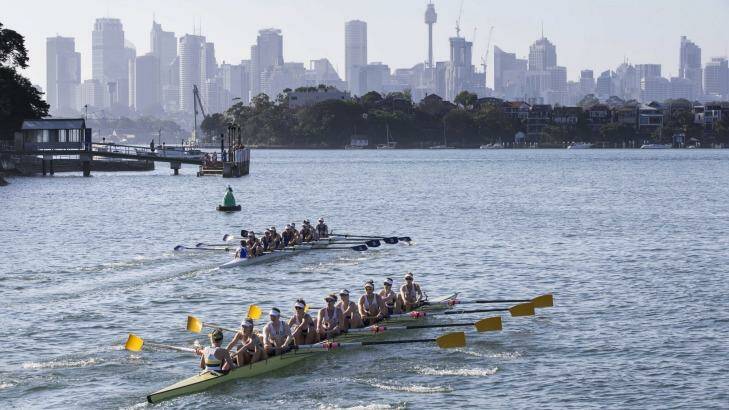  Southern comfort: Melbourne won the women’s race to retain the Bella Guerin Trophy.  Photo: Craig Golding