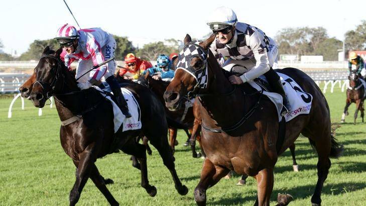 Breakthrough win: Damian Browne and Miss Cover Girl, right, holds off the challenge of favourite Azkadellia, left, in the Tiara at Eagle Farm. Photo: Tertius Pickard