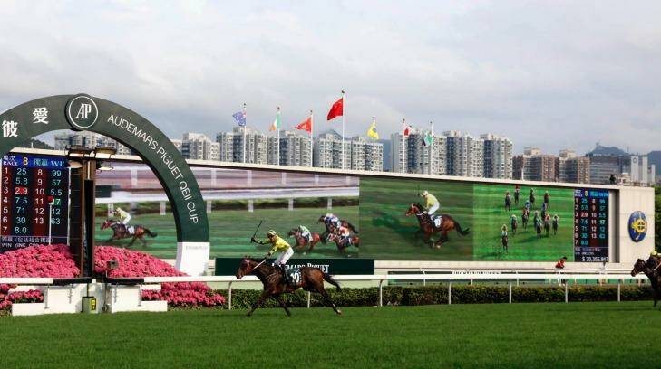 Daylight second: Werther and Hugh Bowman put a gap in them. Photo: Hong Kong Jockey Club