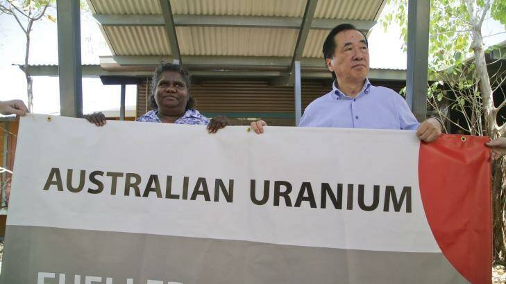 Former Japanese Prime Minister Naoto Kan views the Ranger uranium mine from the air. 