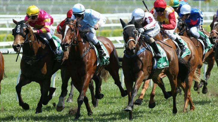 Winona Costin, far right, rides Grand Proposal to victory at Randwick last year. The mare is now a live chance in the Wagga Cup on Friday. Photo: bradleyphotos.com.au