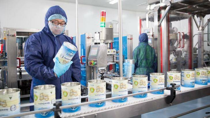 Nature One Dairy is setting up a new facility at Toowoomba, adjacent to the Brisbane West Wellcamp Airport. Photo: Supplied