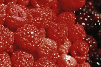 The number of cases of Hepatitis A linked to the consumption of frozen berries imported from China has climbed to at least 14.