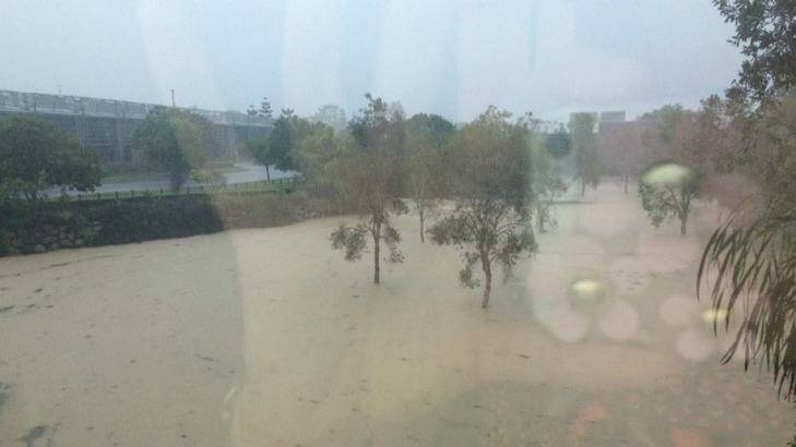 Flooding at Cannon Hill as Brisbane gets drenched on Friday. Photo: Edwina Stott