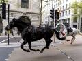 Bizarre scenes unfolded near Buckingham Palace as runaway horses galloped through central London. (AP PHOTO)
