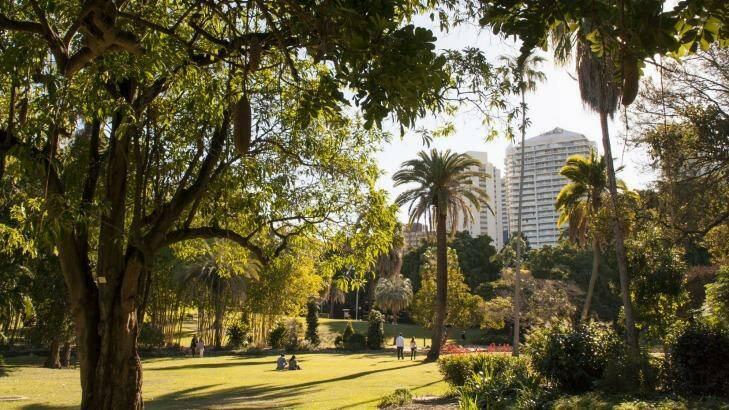 Brisbane City Council has released its draft plan for the City Botanic Gardens. Photo: Supplied