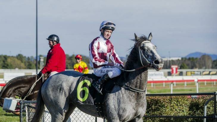 No When to Hold Em, ridden by Brock Ryan, scored at Canberra on Friday. 

 Photo: JAMILA TODERAS