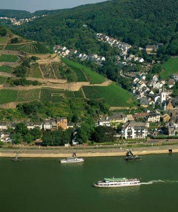 Wine region: Cruising the Rhine takes in the sights of Assmannshausen on its banks, renowned for its red wine. Photo: German National Tourist Office