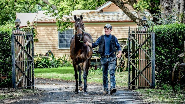 History beckoning? Young Hawkesbury trainer Jason Attard with his first group 1 runner, Sons Of John, which will race in the $1 million Epsom Handicap this weekend. Photo: Brendan Esposito