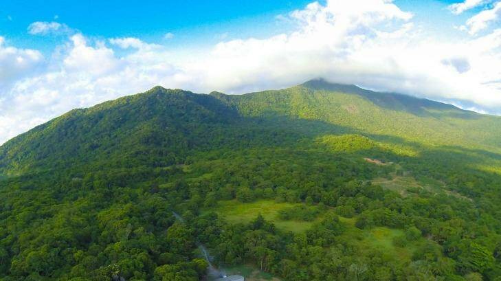 Emergency services found the body of a man on Saturday after a helicopter crash near Daintree on Friday.