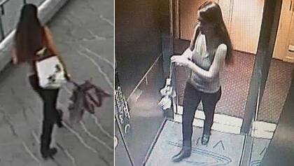 CCTV footage of Sophie Collombet before her death.