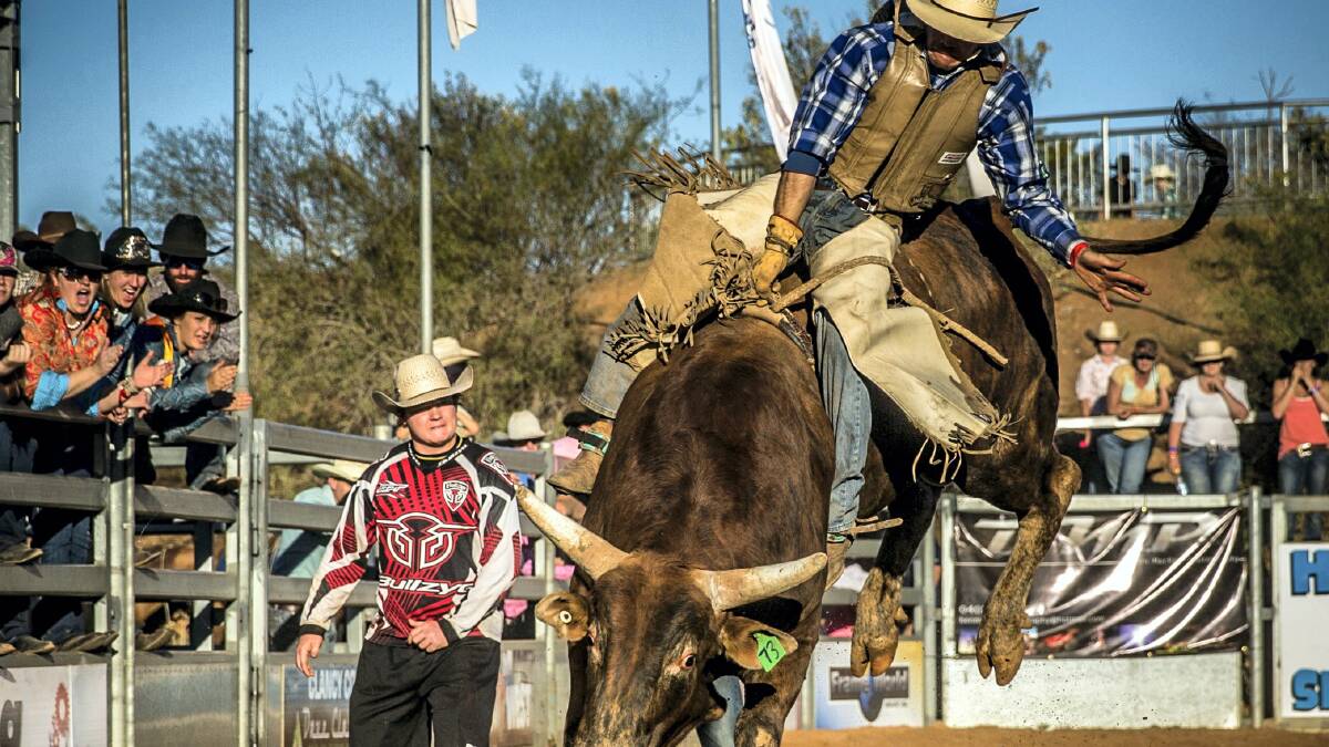 New Zealand bull rider Fraser Babbington in action at the 2013 Mount Isa Rodeo bull ride. - Picture: STEPHEN MOWBRAY
