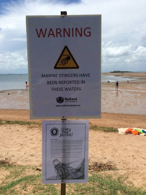Wellington Point beach closed after stinger attacks