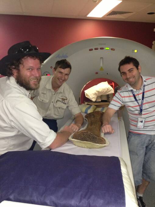 MEASURE UP: Steven Rumbold, George Sinapius and David Friedman from I-Med compare their arm bones to Matilda’s.