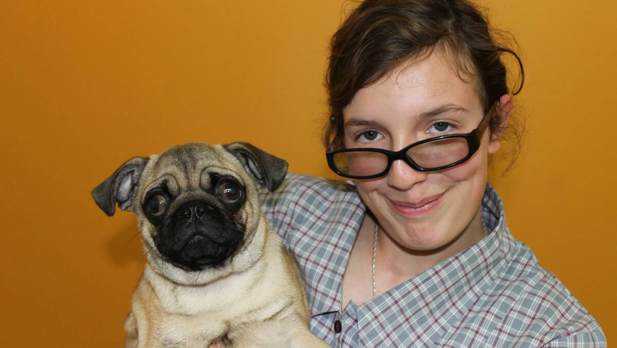 POOCH PRIDE: Mount Isa youngster Rhiannon Shepherd with her five-month-old pedigree pug Bilbo