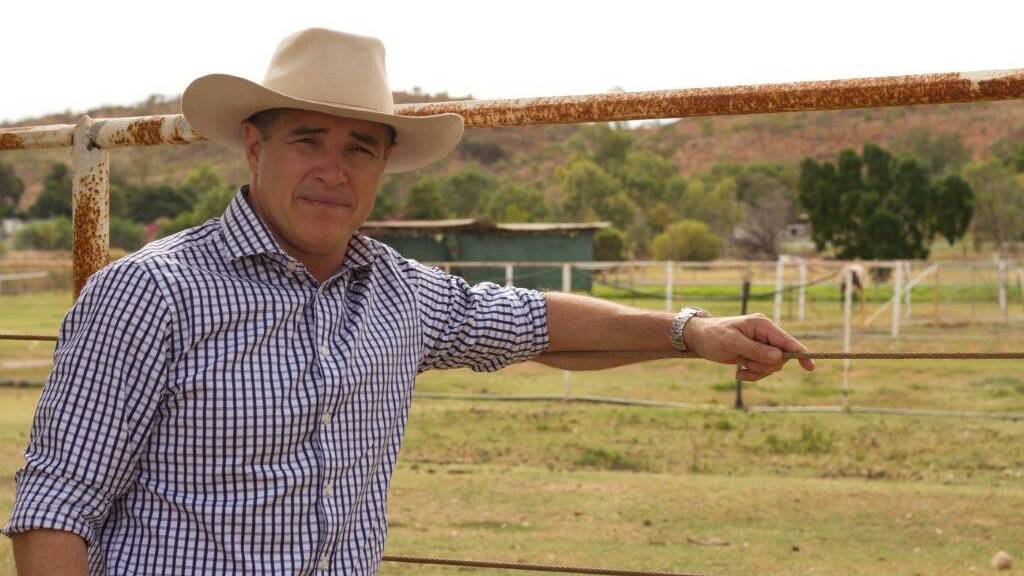 FENCE THEM IN: State member Robbie Katter says drivers are desperate for roadside fencing from wandering livestock.
