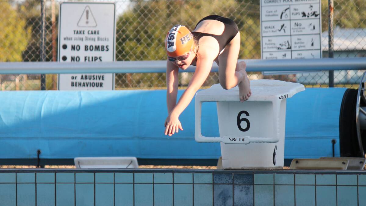 Eva Millner jumps off the blocks in her 50 metre freestyle race.
