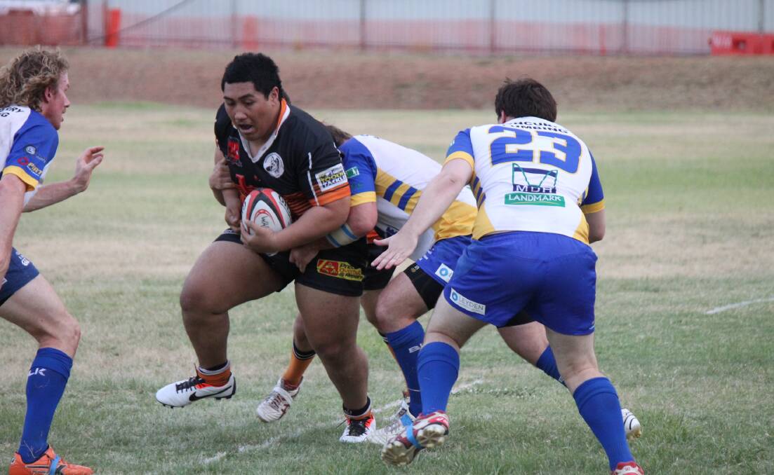 DOMINANT FORCE: Dingoes front row enforcer Daniel Seitula runs the ball up against Cloncurry.