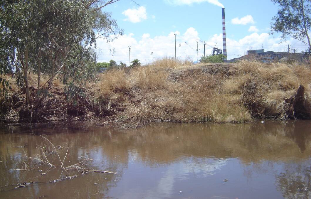 ENOUGH FOR ALL: The tadpoles might come out to play, and some kids, and fish in this pond at the Leichhardt River created by recent rains. 
- Picture: DAVID FLETCHER