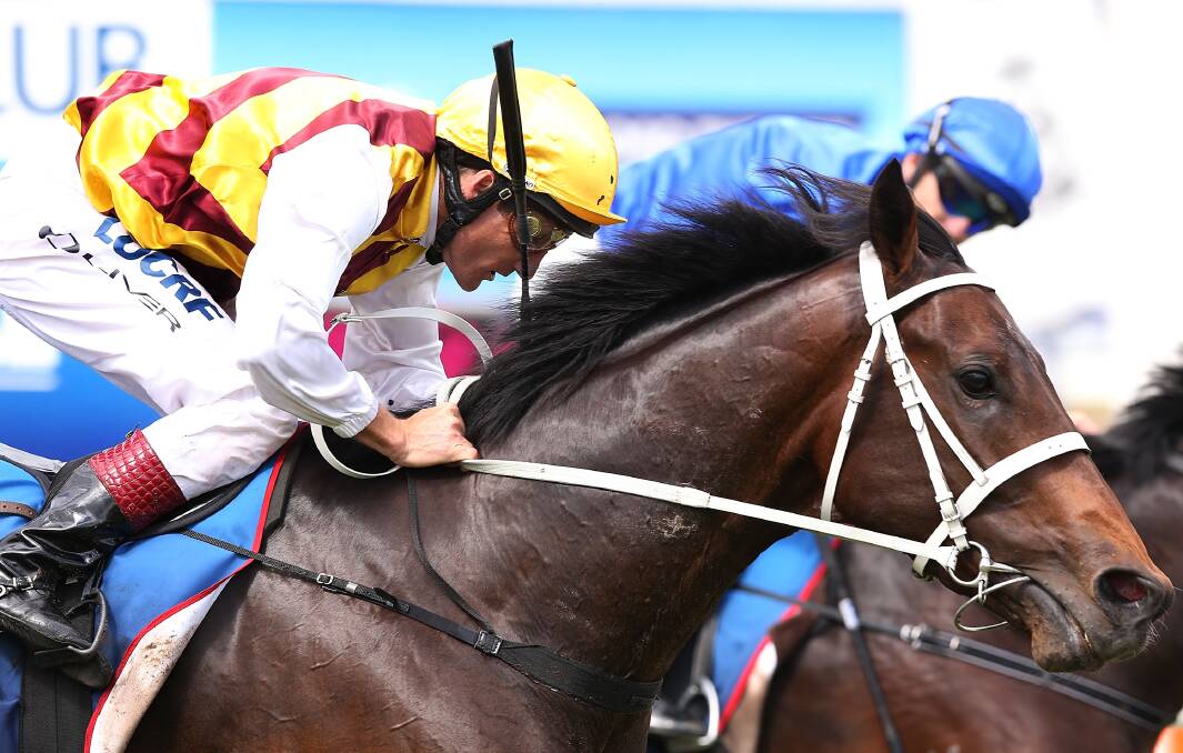 Huddys in box seat with Preferment
