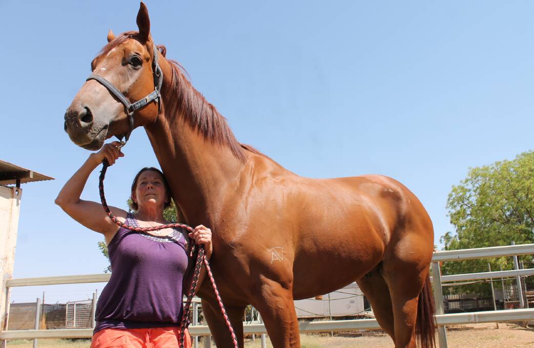 TALL ORDER: Mount Isa trainer Denise Ballard with extraordinarily tall and lean Eskervinth.
