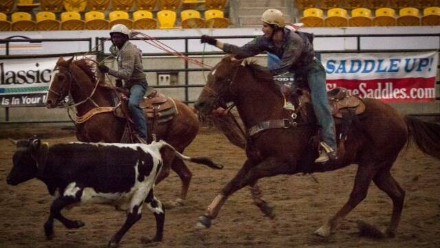 LASSO: Kolt Ferguson tries to take down a cow in an event earlier in the year. 