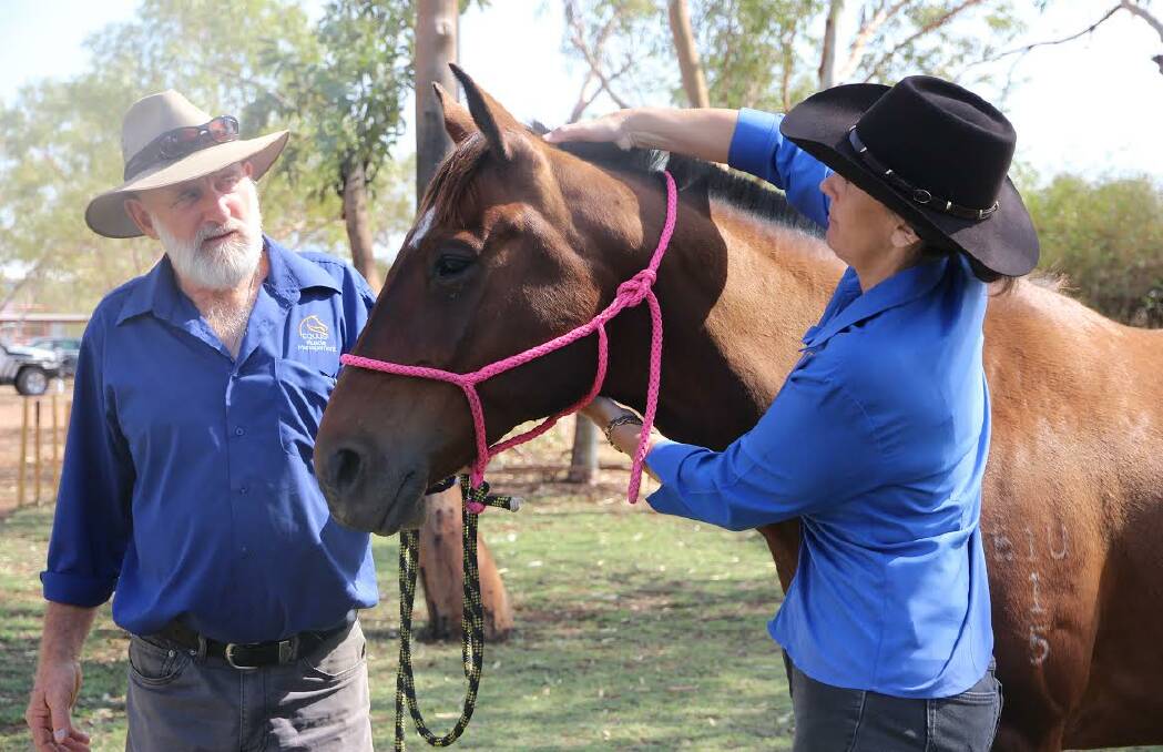 MASSAGE:  Imbil couple Kath and Steve Rochford teach how to use gentle pressure on horses to allow their muscles to relax properly. 