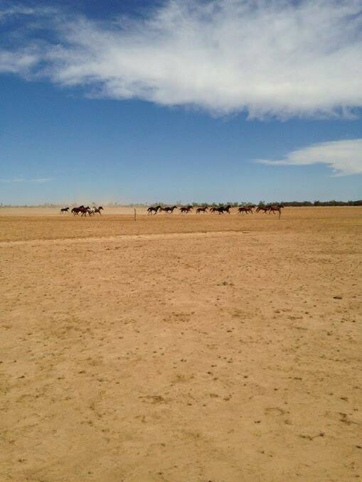 Winton councillor and grazier Emma Forster said the next wet season may come too late for many stations in debt.