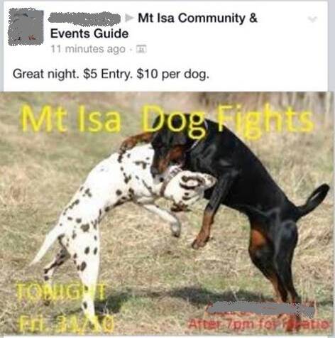Appeal for 'cruel' dog fighting competitors, spectators sparks outrage
