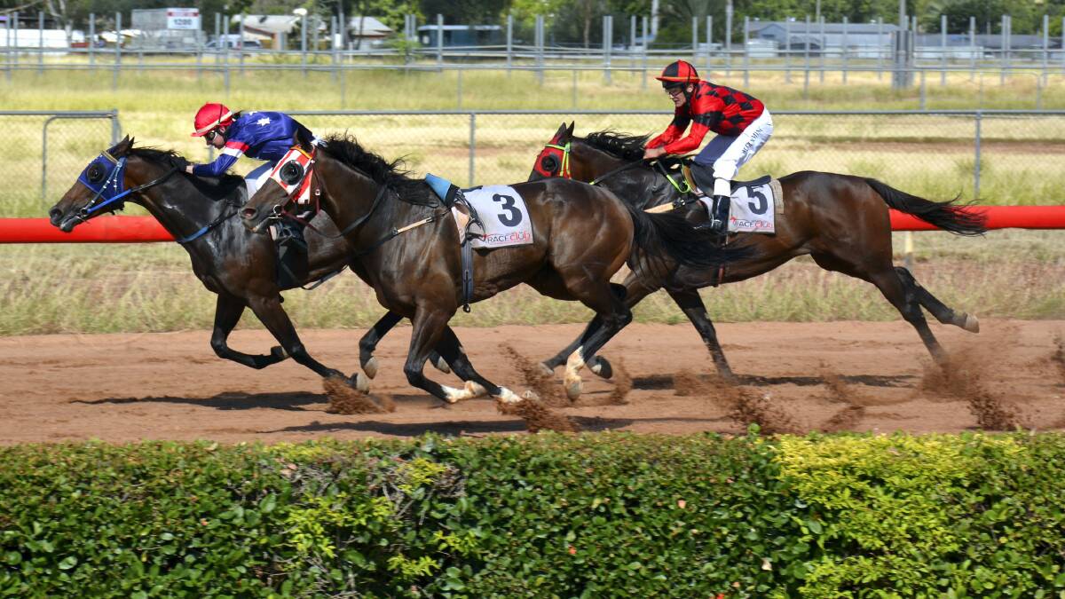 WINNER: Tamara Tincknell drives Mimi’s Rocket to victory in the Class 3 Plate (900metres) at Buchanan Park on Saturday as the rider-less Power Report pesters the winner and hampers Seven Degrees (ridden by Mark Cummings).