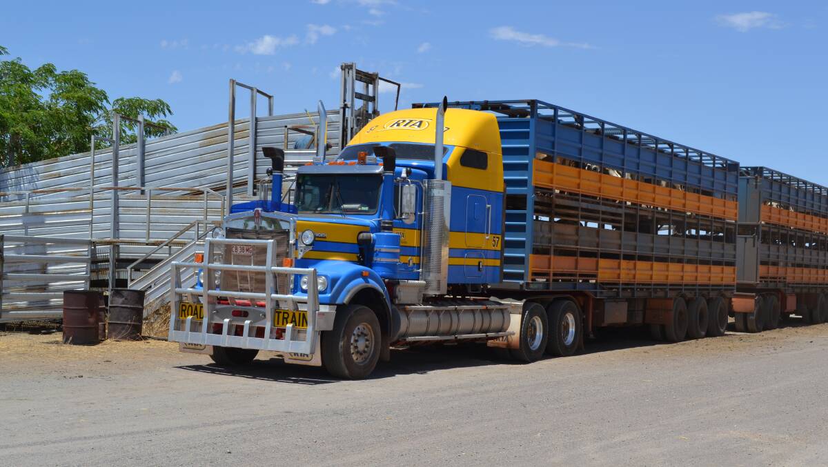 PICK UP: A livestock truck about to freight cattle from the Cloncurry saleyard. 
