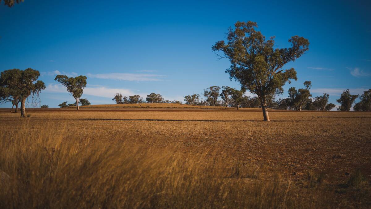 Merriwa in the Upper Hunter Valley. Picture: Simon McCarthy