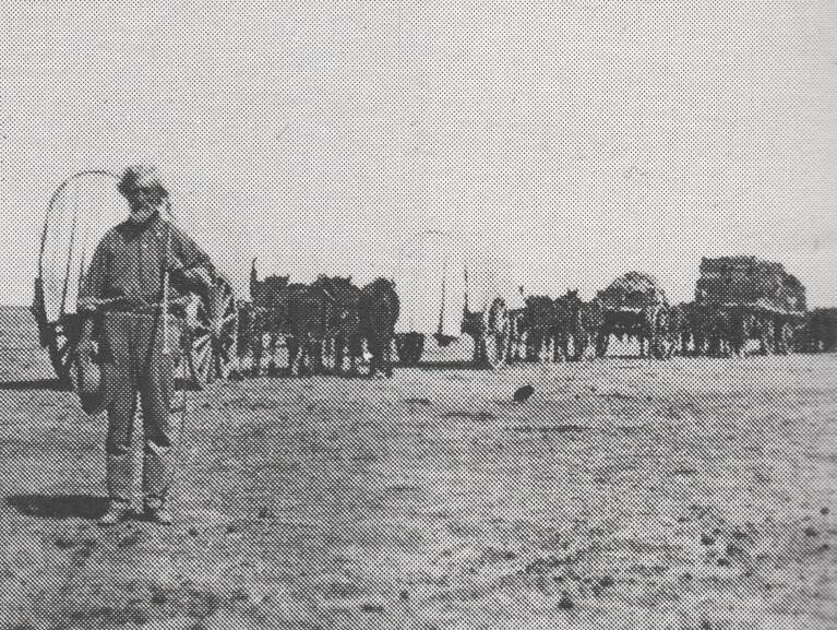 J. R. Bennet and his horse transport team. Camooweal  ca 1921.