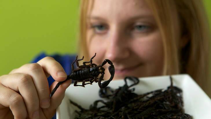 Skye Blackburn with her new addition to her edible insect range, scorpions. Photo: Janie Barrett