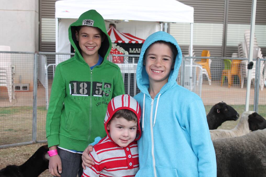 BOYS DAY OUT: From left, Brock Schafer, 11, Hugh Crawford, 4, and Leo Schafer, 10, enjoy a day at the show.