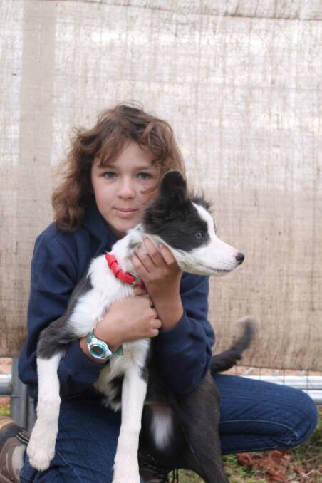 SHOW PUPPY: Chantel Mackey, 13, with Freya the trickster puppy.
