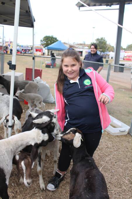 GOOFY GOATS: Caitlin Glover, 9, gets some attention from the goats.