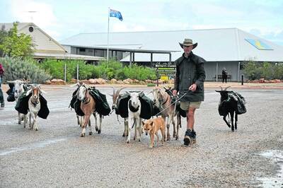 HAVE GOATS, WILL TRAVEL: Owen Davies and his herd of goats marching into Birdsville. - zz
