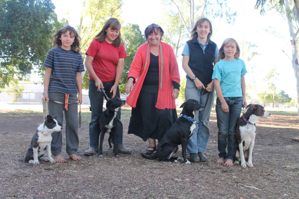 SUPERDOGS: The Superdogs team (with Sue Carson, centre) will delight the crowd at this Saturday's Paws, Hoofs and Claws fundraiser event, Santa Paws in the Park.- Picture: JASMINE BARBER/7683