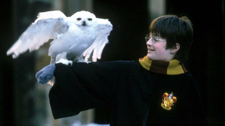 Harry Potter's very first appearance in a hardback edition can fetch $40,000.