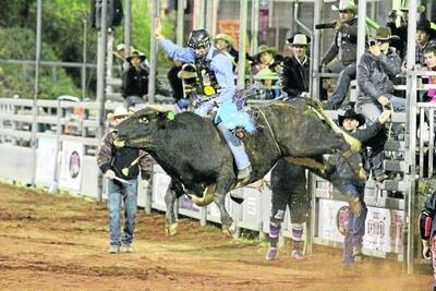 WILD WIN: Dave Kennedy gets airborne on Wild Thing during the championship round of the 2012 Mount Isa Show PBR Australia bull ride. Kennedy rode the bull for a score of 86.5 points to claim the championship crown with an aggregate score of 255 points. - Picture: LYNDON KEANE/2937